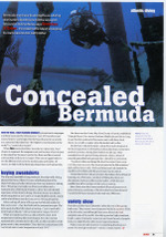 Concealed_bermuda_1