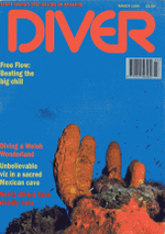 Diver_cover_shot_1996